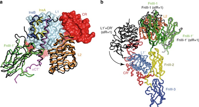 Fig. 4