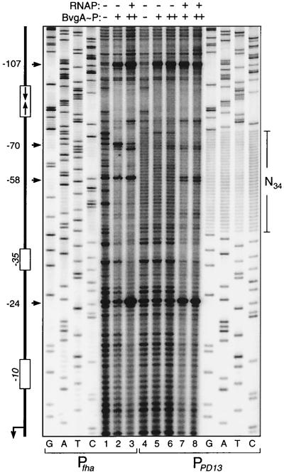 FIG. 9