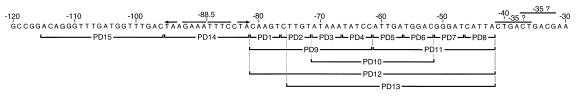 FIG. 6