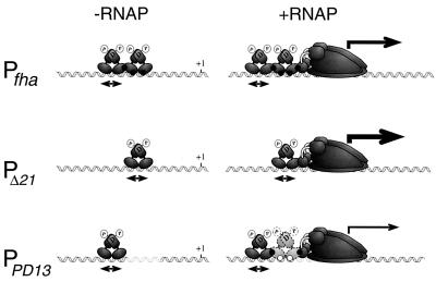 FIG. 10