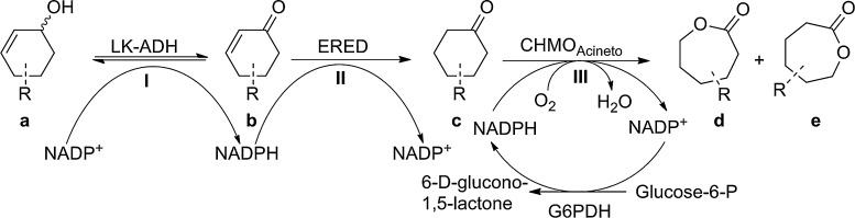 Scheme 1