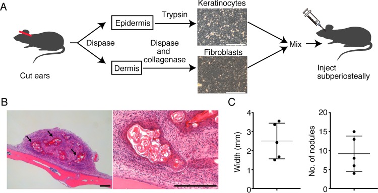 FIG 1