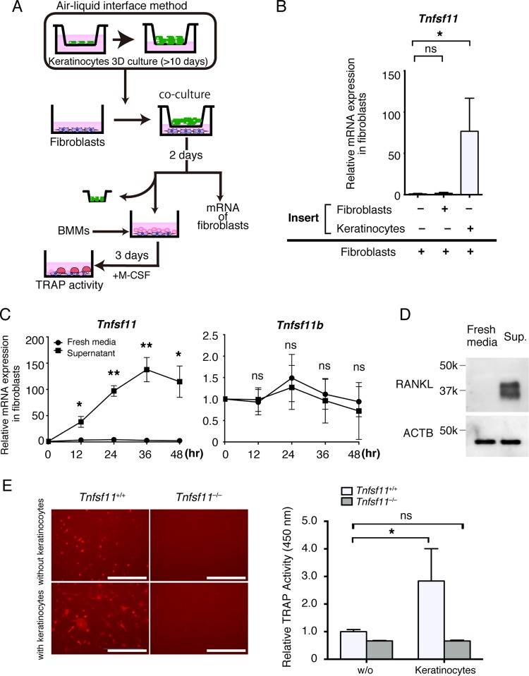 FIG 4