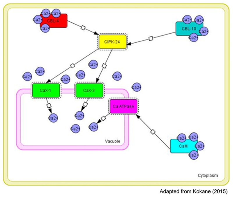 FIGURE 5