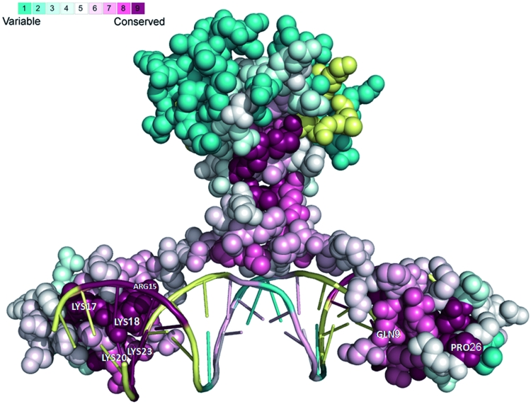 Figure 2.