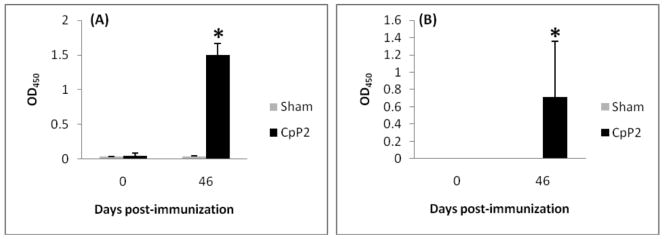 FIG. 1