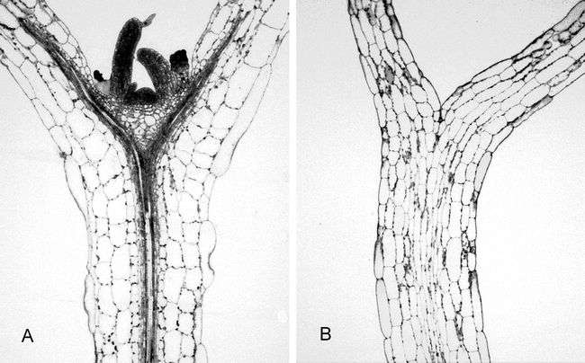 Figure 16.