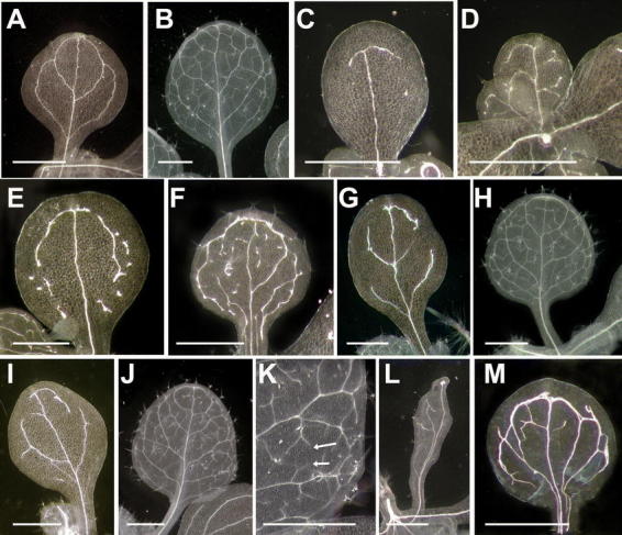 Figure 15.