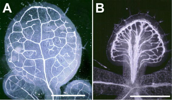 Figure 14.