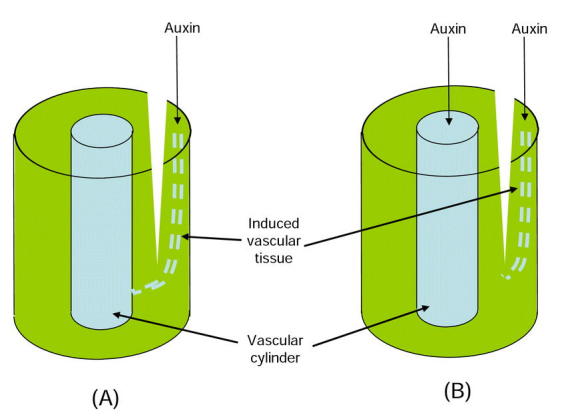 Figure 17.