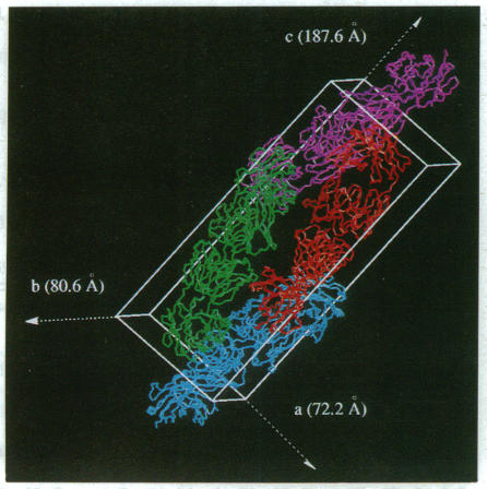 graphic file with name pnas01127-0017-a.jpg