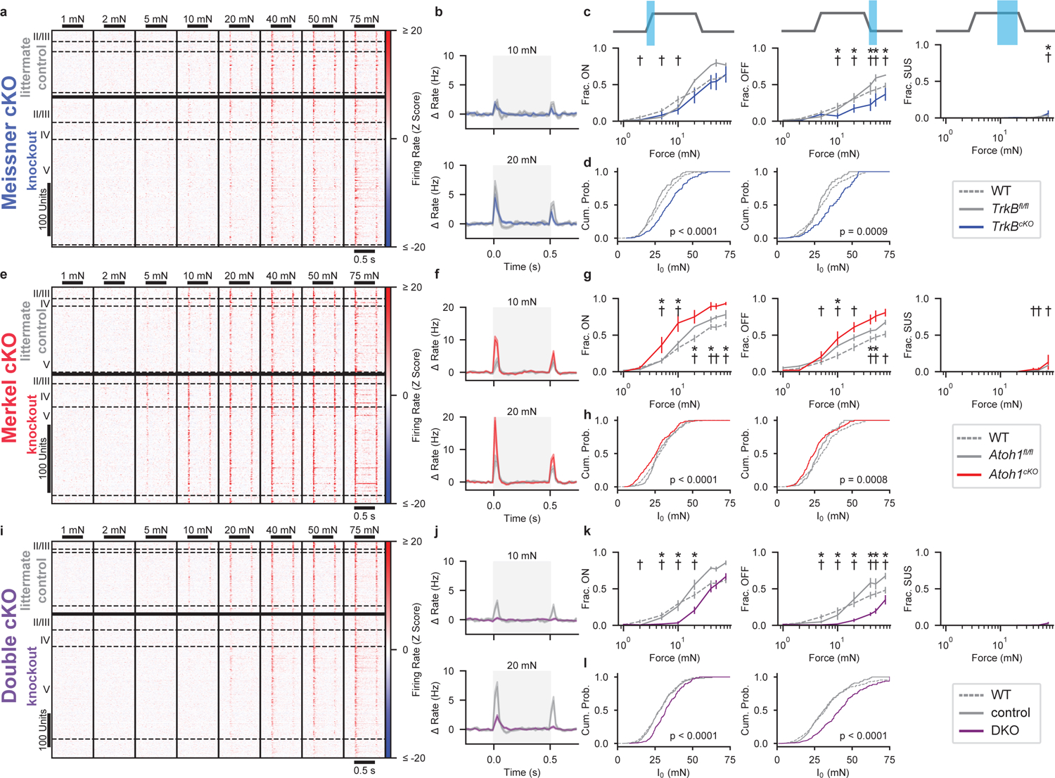 Fig. 2: