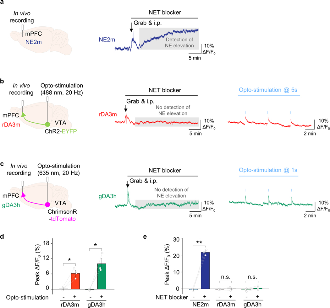 Extended Data Fig. 7 |