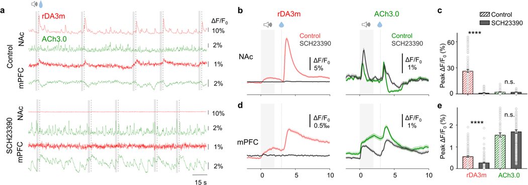Extended Data Fig. 9 |