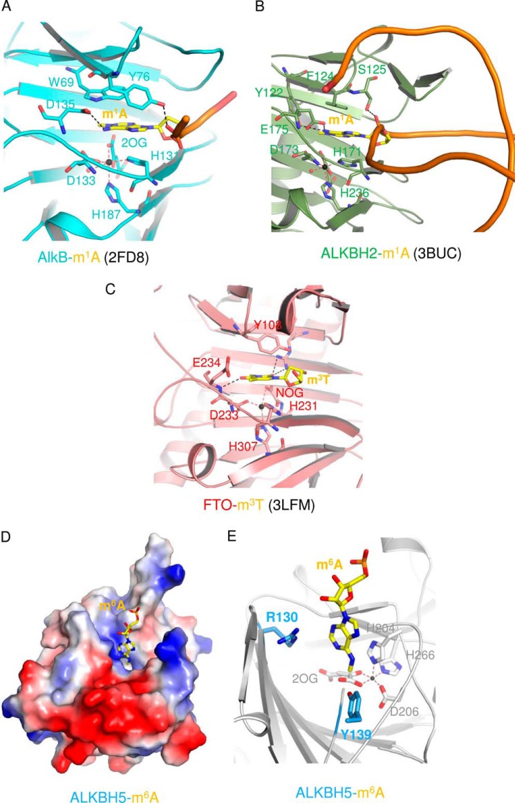 FIGURE 7.