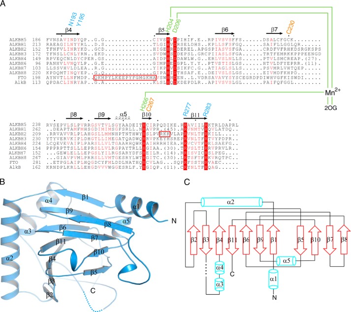 FIGURE 1.