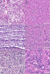 Fig. 4