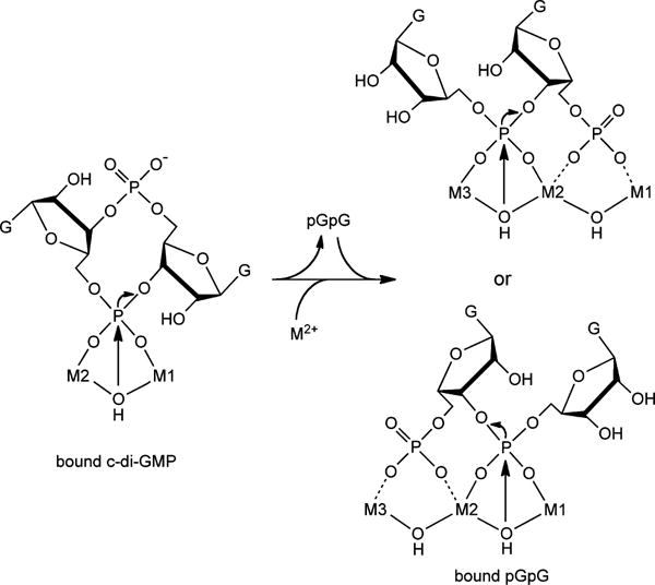 Scheme 2