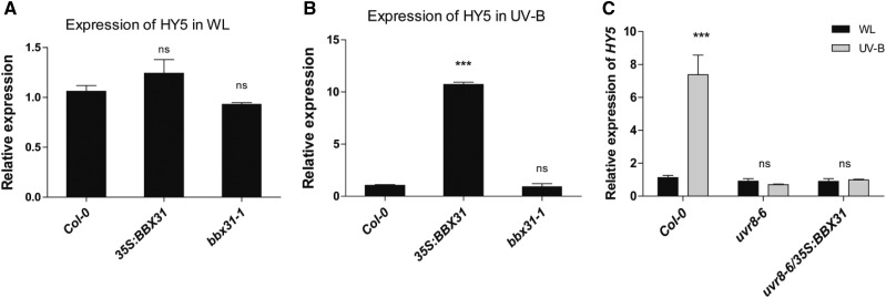 Figure 7.