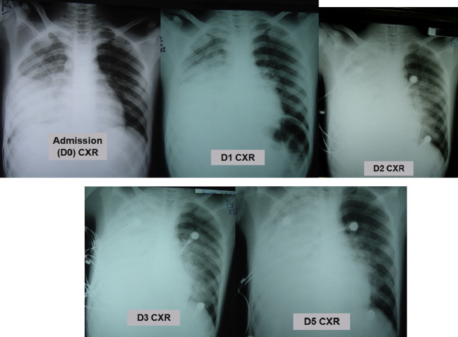 Figure 3