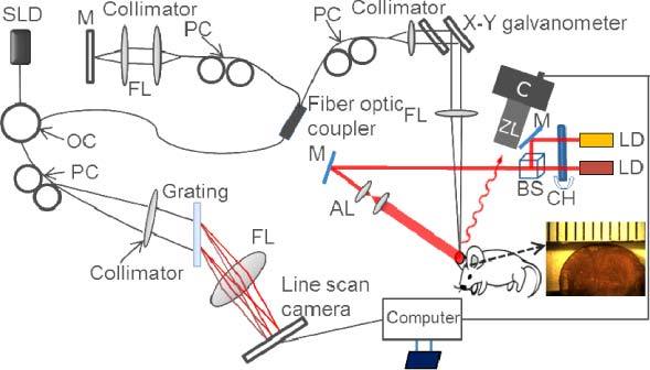 Fig. 1