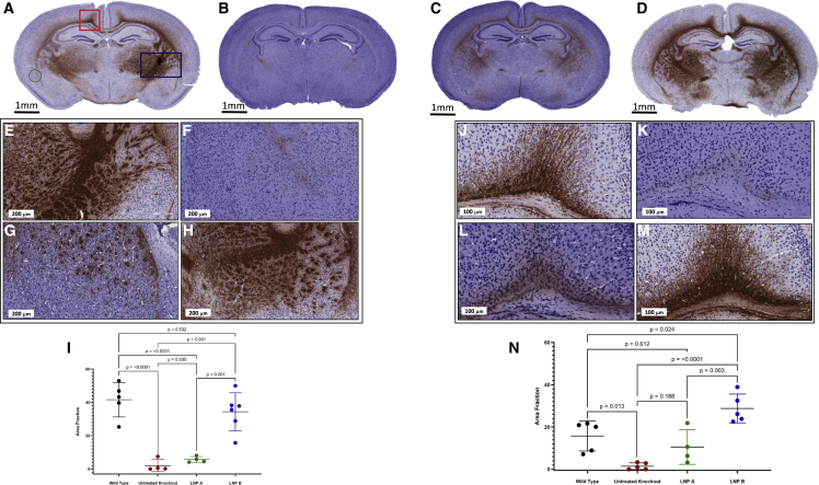 Figure 7