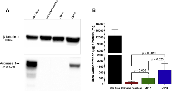 Figure 4