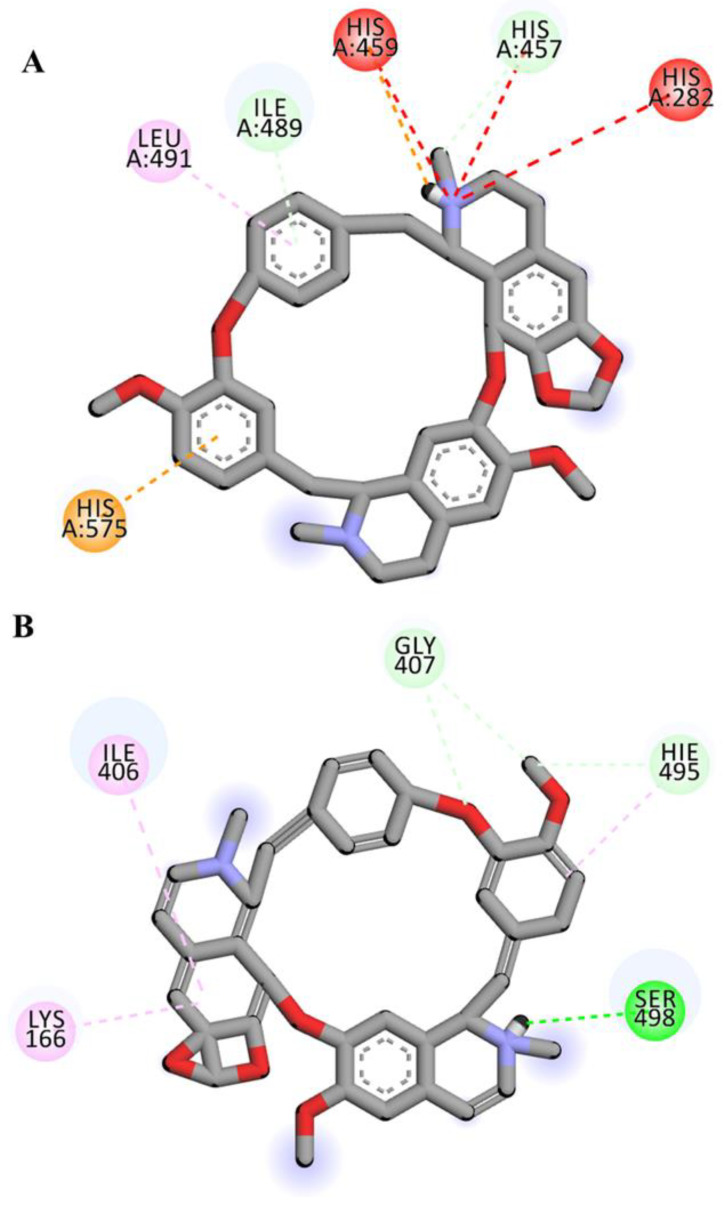 Figure 10