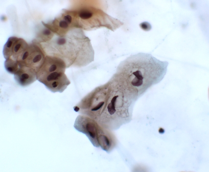 Figure 7