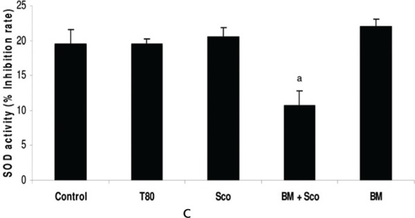 Fig. 1: