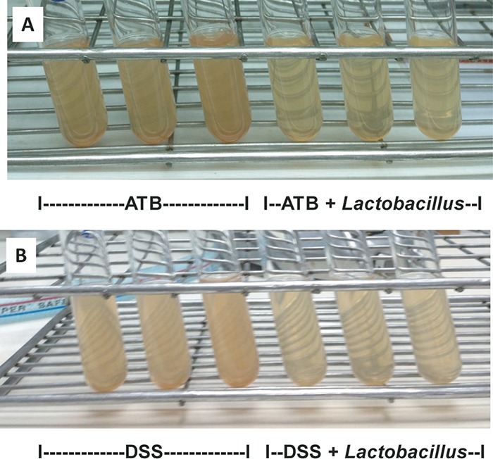 FIG 6