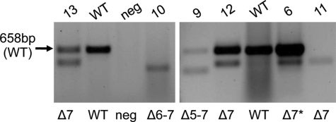 Figure 4