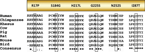 Figure 3