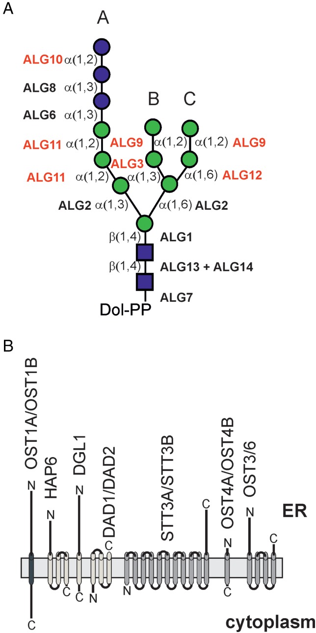 Fig. 2.