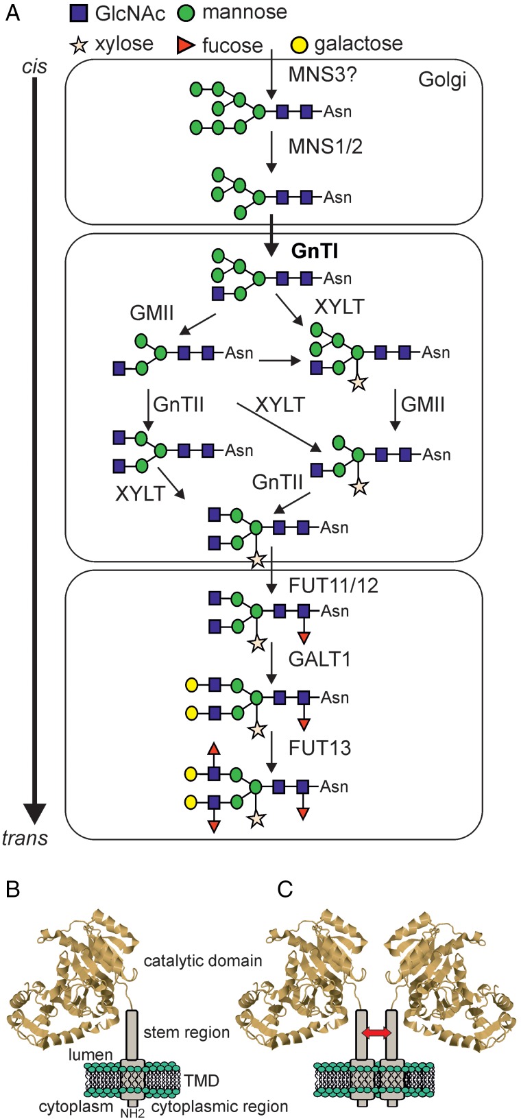 Fig. 4.