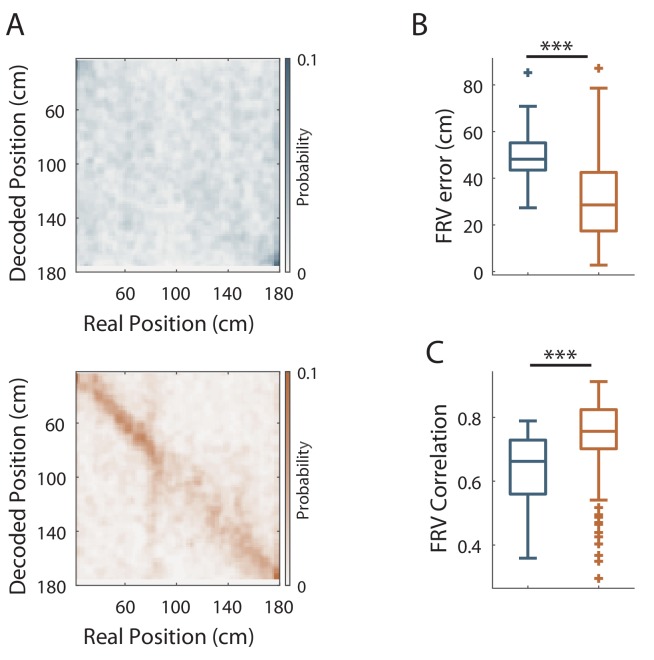 Figure 3—figure supplement 2.