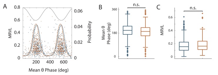 Figure 7—figure supplement 2.