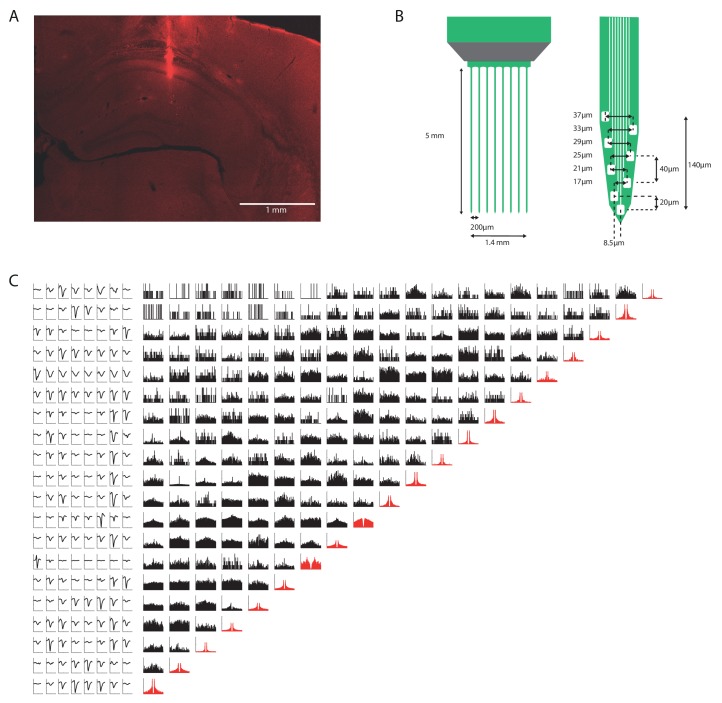 Figure 1—figure supplement 1.