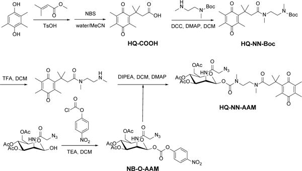 Scheme 2