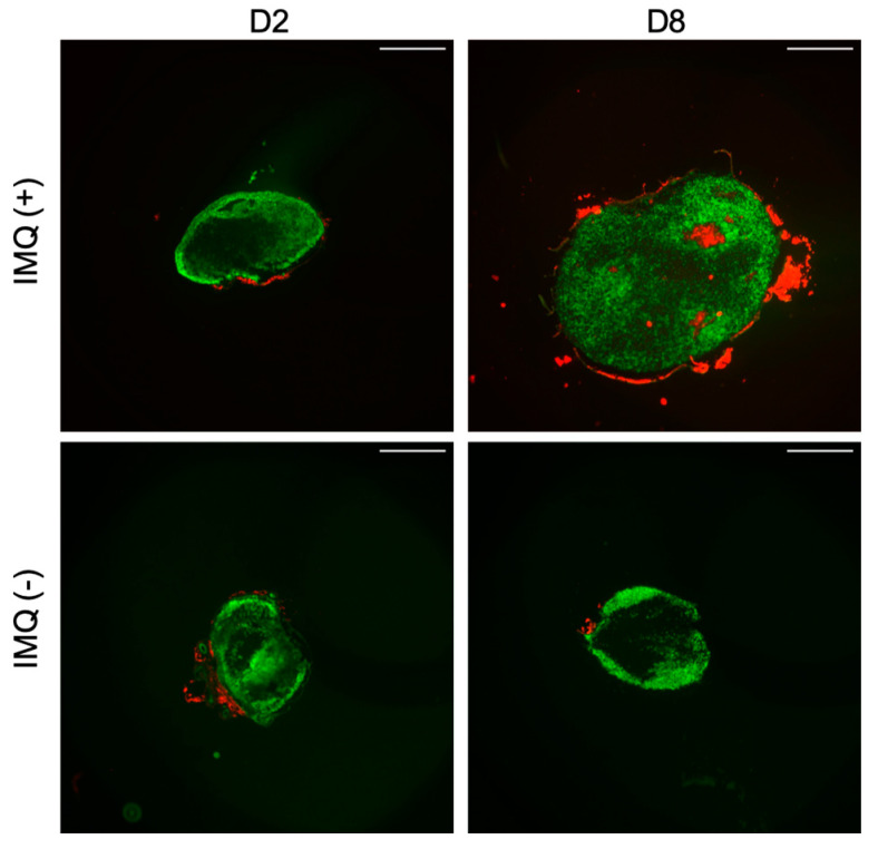 Figure 11