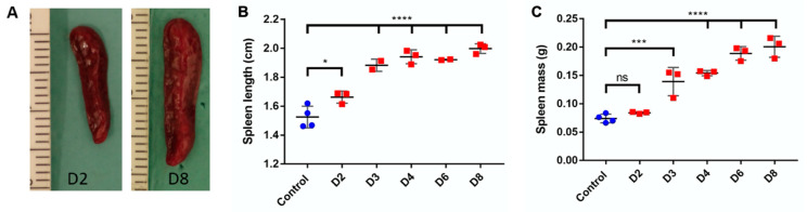 Figure 9