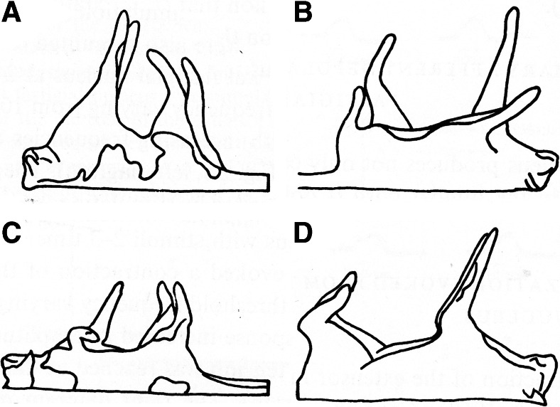 Fig. 23