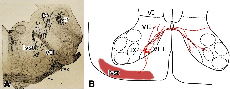 Fig. 12