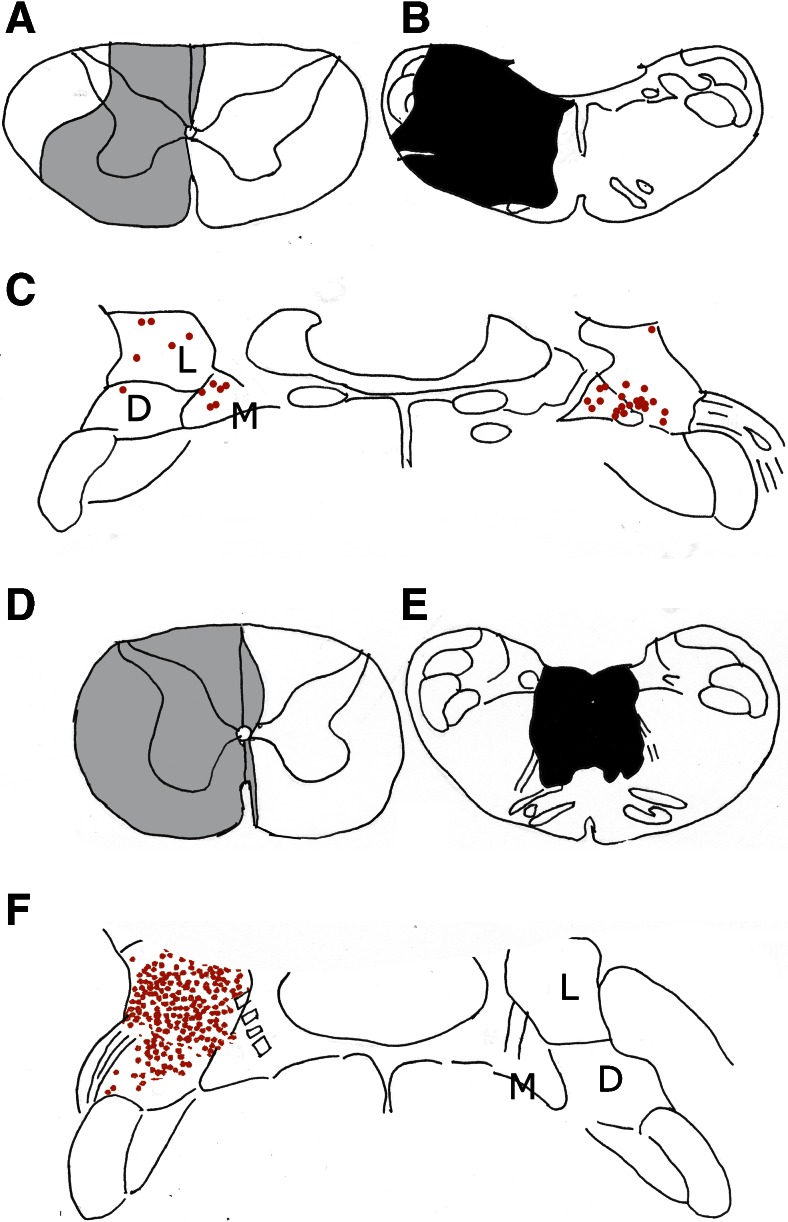 Fig. 9