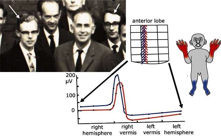 Fig. 13