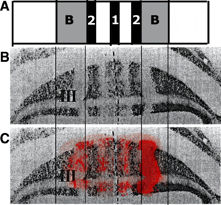 Fig. 14