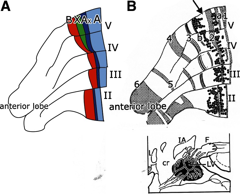 Fig. 8