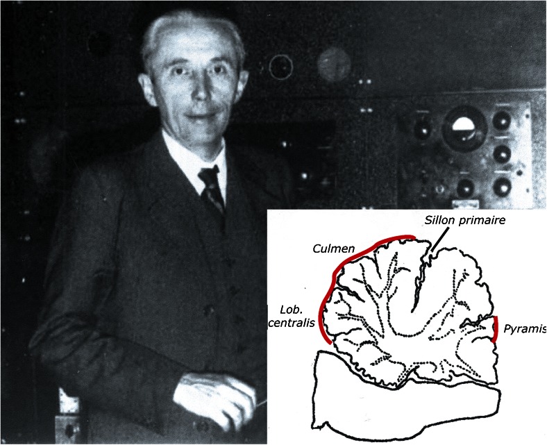 Fig. 21