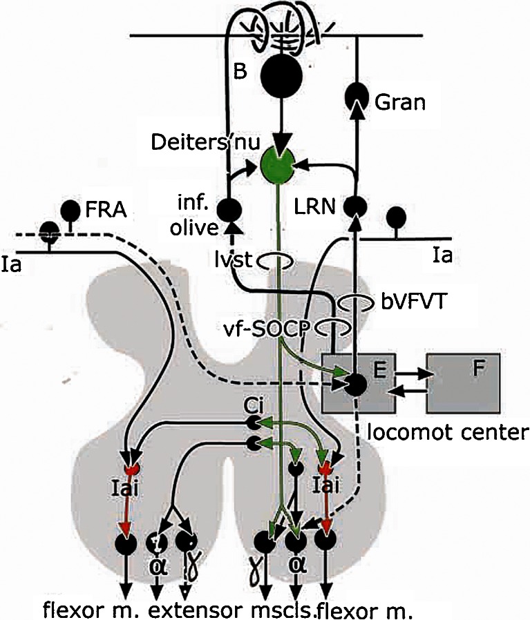 Fig. 18