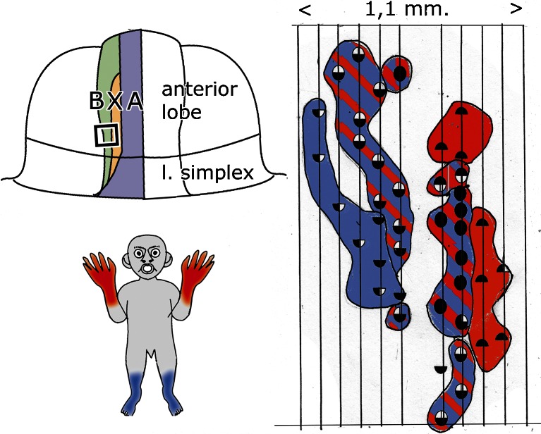 Fig. 16